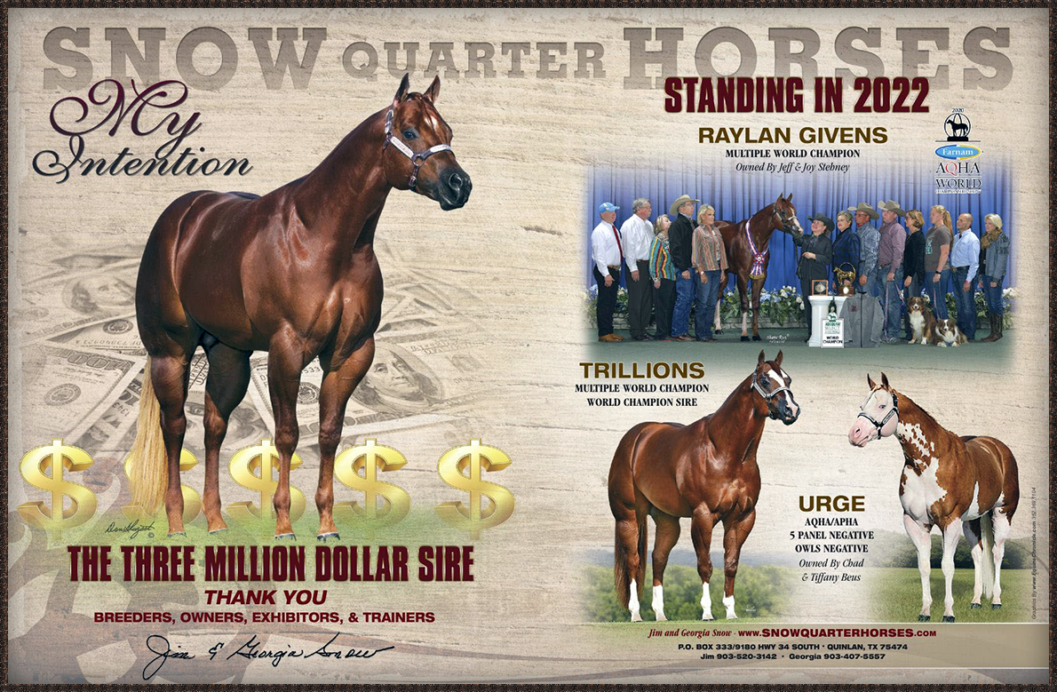 SNOW QUARTER HORSES~Home of AQHA Stallion MY INTENTION